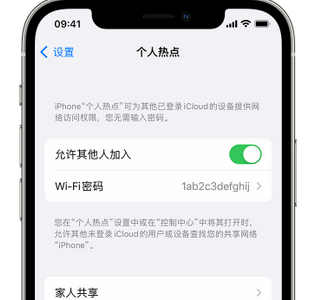 宽城apple服务站点分享iPhone上个人热点丢失了怎么办 