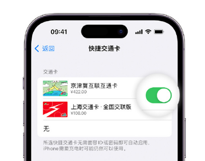 宽城apple维修点分享iPhone上更换Apple Pay快捷交通卡手绘卡面 