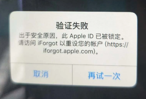 宽城iPhone维修分享iPhone上正常登录或使用AppleID怎么办 