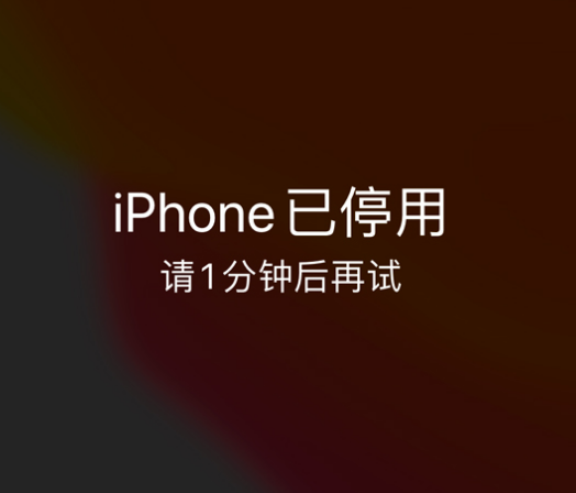 宽城苹果手机维修分享:iPhone 显示“不可用”或“已停用”怎么办？还能保留数据吗？ 