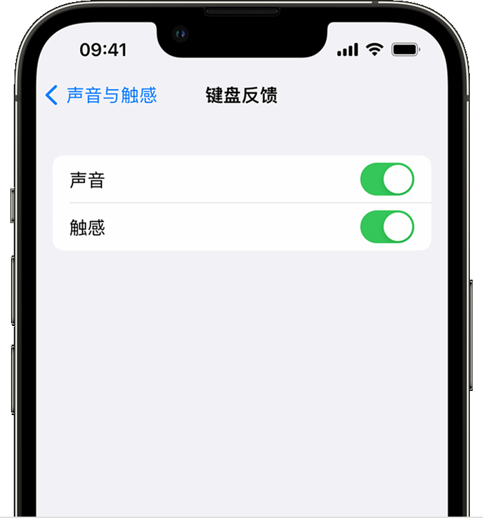 宽城苹果14维修店分享如何在 iPhone 14 机型中使用触感键盘 