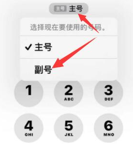 宽城苹果14维修店分享iPhone 14 Pro Max使用副卡打电话的方法 